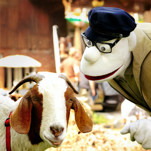 <i>Momsen, Tiere, Sensationen</i>